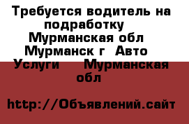 Требуется водитель на подработку. - Мурманская обл., Мурманск г. Авто » Услуги   . Мурманская обл.